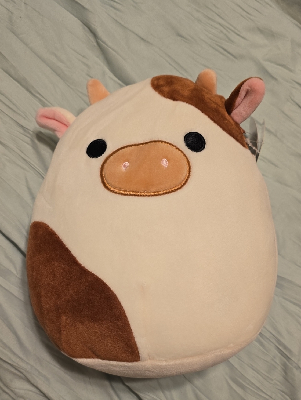 Squishmallow Cow Ronnie 8inch